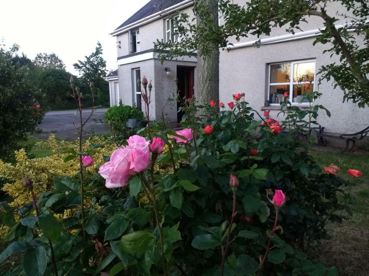 Bed and Breakfast Lisieux House On Lough Neagh Aghalee Exterior foto